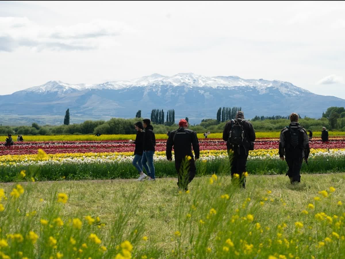 Caminho patagonico de terra para uma expedicao sob medida